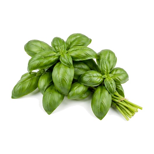 Basilic en Botte