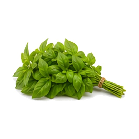 Basilic Citron (petite feuille)