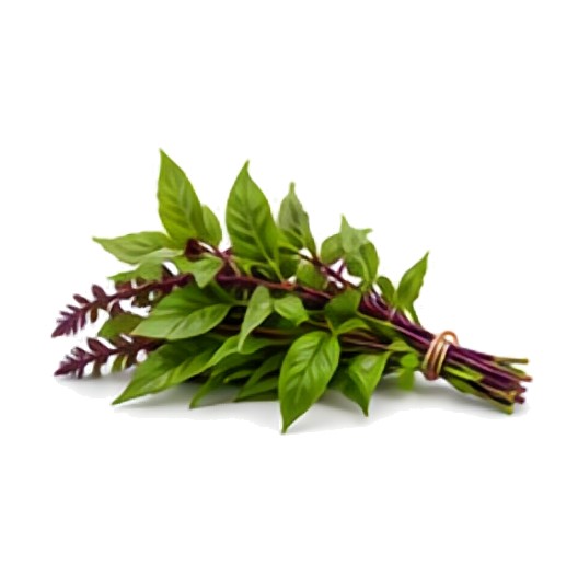 Basilic Thaï