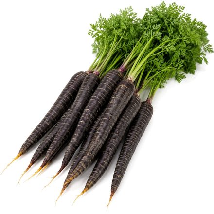 Carottes noires