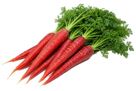 Carottes rouges
