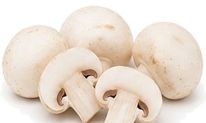 Champignon de Paris blanc