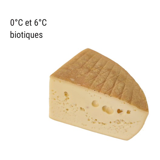 Le Cuchon