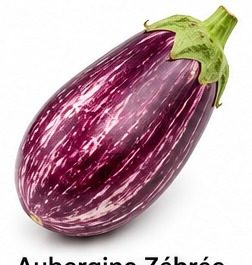Aubergine Zébrée (Violette et blanche)