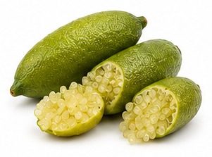 Citron Caviar variété Faustrime