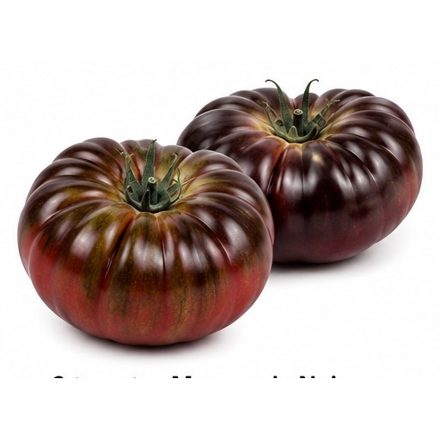 Tomate Marmande Noire