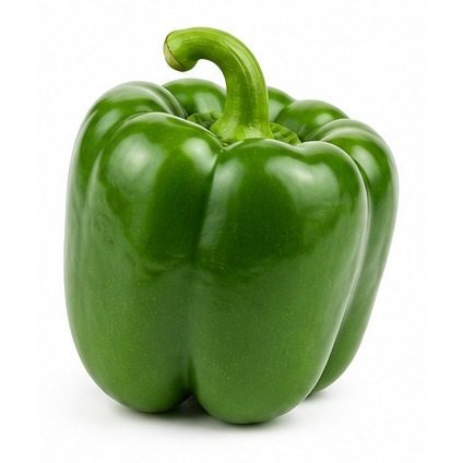 Poivron vert