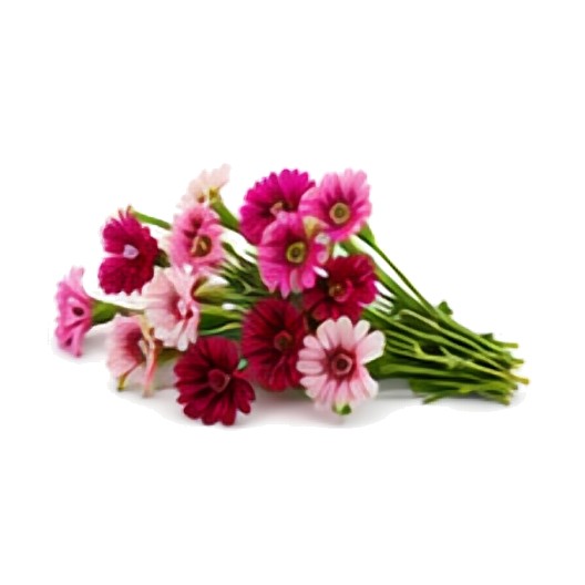 Fleur du Poète - Délicat et floral