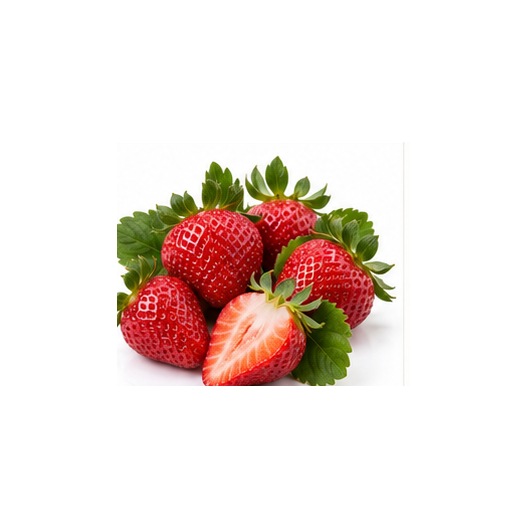Fraise variété Kara de Provence