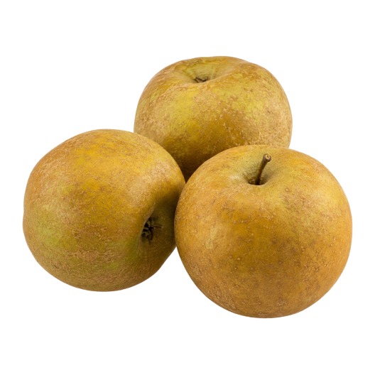 Pomme Grise (Reinette)
