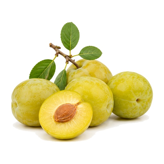 Prune Reine Claude