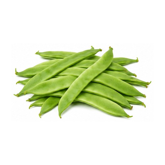 Haricot vert plat