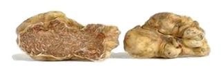 Truffe Fraiche blanche d'Alba