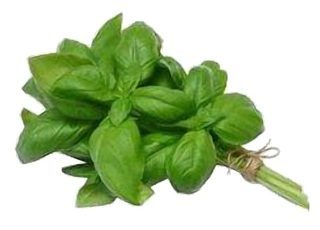 Basilic en Botte
