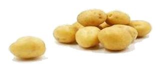 Pomme de terre Agata Grenaille