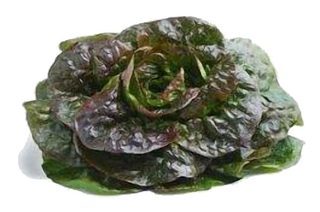 Salade Rougette