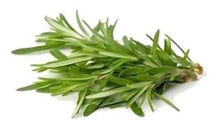 Romarin en Botte
