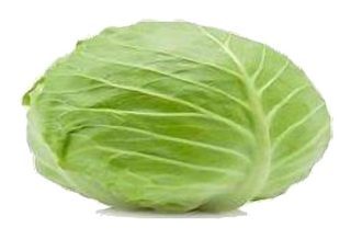 Chou vert lisse