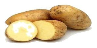 Pomme de Terre Nouvelle Spunta Pomme de Terre Polyvalente