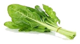 Blette fine verte en botte