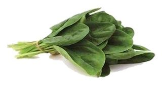 Epinard en Botte XXL (+de 500g/botte)