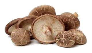Shiitake