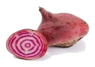 Betterave Vrac Chioggia