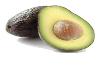 Avocat fuerte de Menton (Petit à Moyen Calibre)