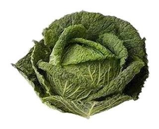 Choux vert frisé (+de 1,2kg)