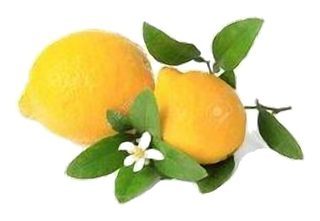 Citron avec Feuille