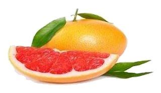 Pamplemousse de Menton (Type de Chine)