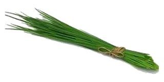 Ciboulette en Botte
