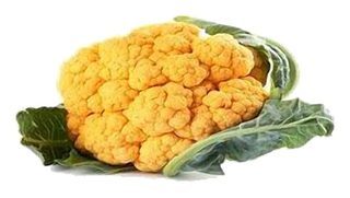Choux Fleur doré Gros calibre (+ de 1,2kg)