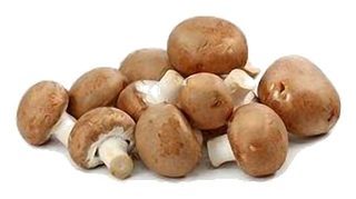 Champignons de Paris (Crème)