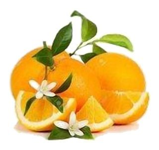 Orange de Table