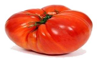 Tomate Cœur de bœuf rouge