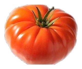 Plateau de Tomates Mixte
