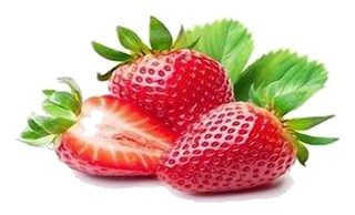 Fraise Variété Dély