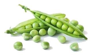 Petit Pois