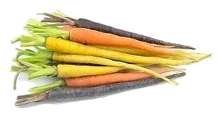 Carottes mix