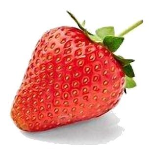 Fraise Variété Cléry