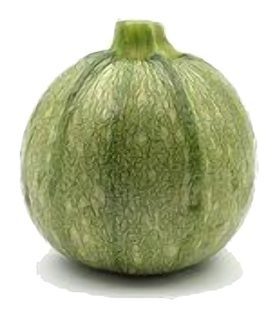 Courgette ronde au kg (calibre moyen 6-8cm)