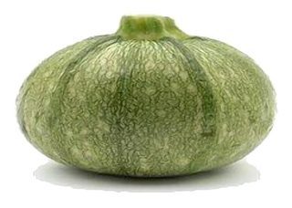 Courgette ronde en plateau 26 pièces (petit calibre)