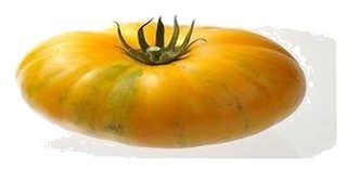 Tomate Marmande Jaune