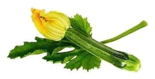 Courgette verte du pays Avec Fleurs NOUVEAU !