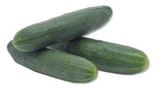 Concombre Noa