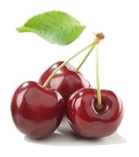 Cerise Variété Burlat Gros Calibre