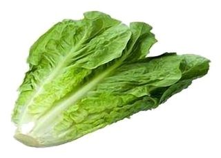 Salade Romaine NOUVEAU