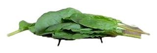 Persil plat