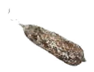 Saucisson nature pure porc